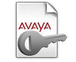 Avaya-licens